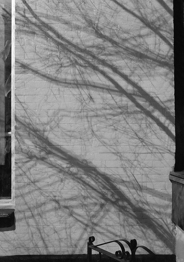 B&W Photo of Painted Brick Wall With Tree Shadow.